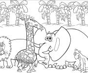 Coloriage Images animaux jungle