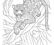 Coloriage Jaguar se repose sur l'arbre