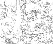 Coloriage Jungle pleine d'animaux