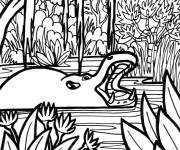 Coloriage Le gros hippopotame