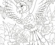 Coloriage Le perroquet ouvrant ses aigles