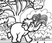 Coloriage Le petit &eacute;l&eacute;phant court dans la jungle