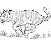 Coloriage Le tigre en attaquant
