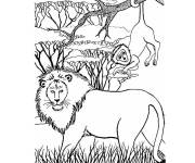 Coloriage Les animaux de la jungle r&eacute;aliste