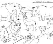 Coloriage Les animaux de la jungle souriants