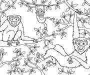 Coloriage Les singes s'amusent sur l'arbre