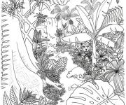 Coloriage Paysage d'une for&ecirc;t tropicale