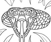 Coloriage Serpent avec la langue sortie