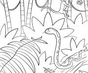 Coloriage Serpent et single dans la jungle tropique