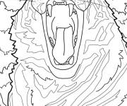 Coloriage Tigre faisant un gros b&acirc;illement