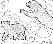Coloriage Tigre sautant avec son petit