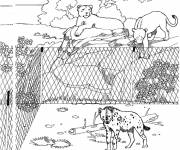 Coloriage Animaux d'Afrique en captivit&eacute;