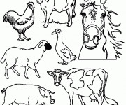 Coloriage Animaux de Ferme en noir et blanc