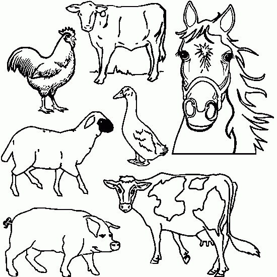 Coloriage Ferme Et Animaux