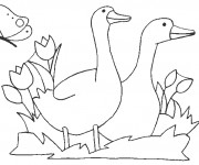 Coloriage Animaux et Nature en couleur