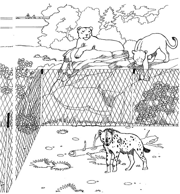 Coloriage Animaux sauvages d'Afrique dessin gratuit à imprimer