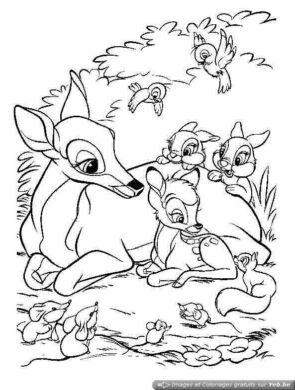 Coloriage Des Animaux De La Foret