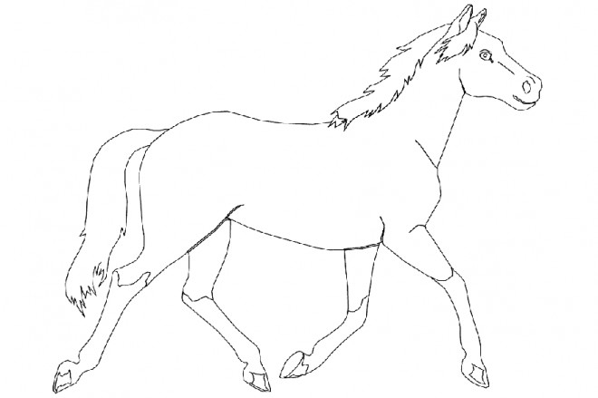 Coloriage Cheval Au Galop En Ligne Dessin Gratuit à Imprimer