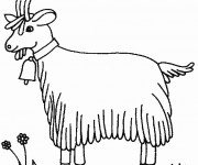Coloriage Ch&egrave;vre de ferme avec clochette