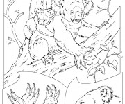 Coloriage koala et son petit en Ligne