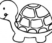 Coloriage La Tortue très lente