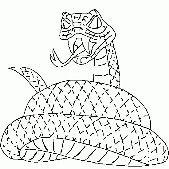Coloriage Le Serpent Reptile qui fait peur dessin gratuit à imprimer