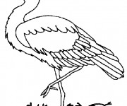 Coloriage Oiseau En Ligne en noir et blanc