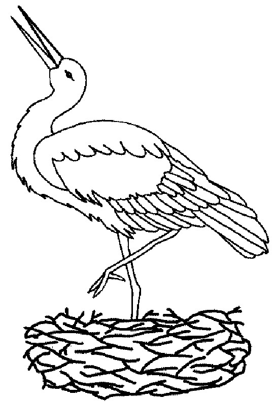 Coloriage Oiseau En Ligne En Noir Et Blanc Dessin Gratuit à