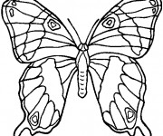 Coloriage Papillon En Ligne