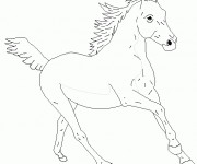 Coloriage Un Cheval stylisé