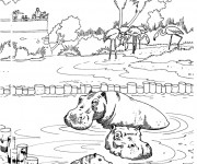 Coloriage et dessins gratuit Un parc zoologique à imprimer