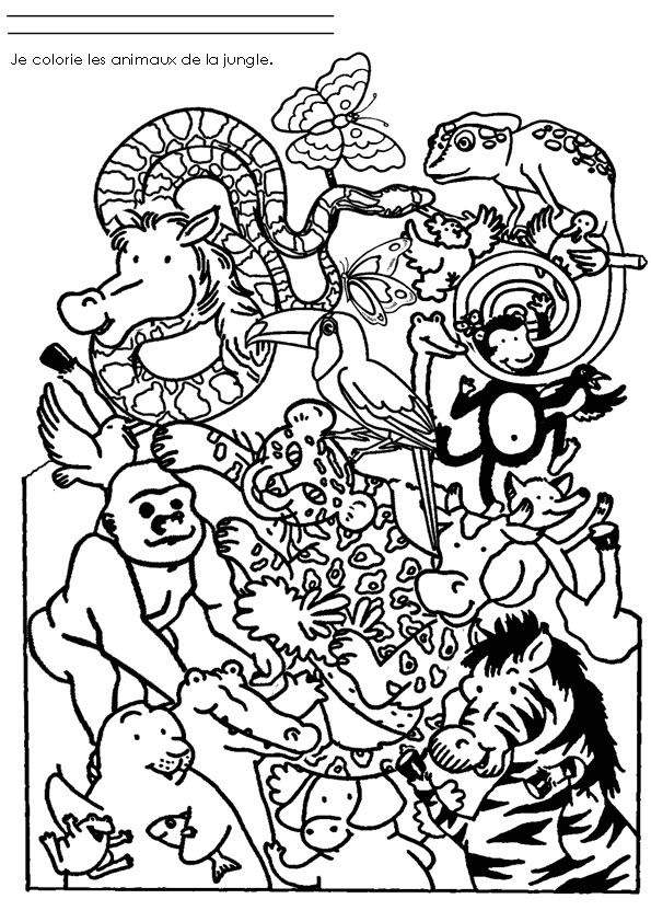 Coloriage Animaux De La Jungle Dessin Gratuit à Imprimer