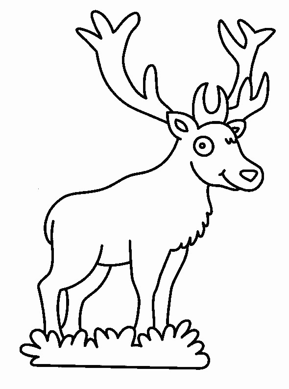 Coloriage Animaux De La Foret Gratuit