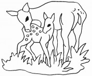 Coloriage Cerf et Son Petit de For&ecirc;t