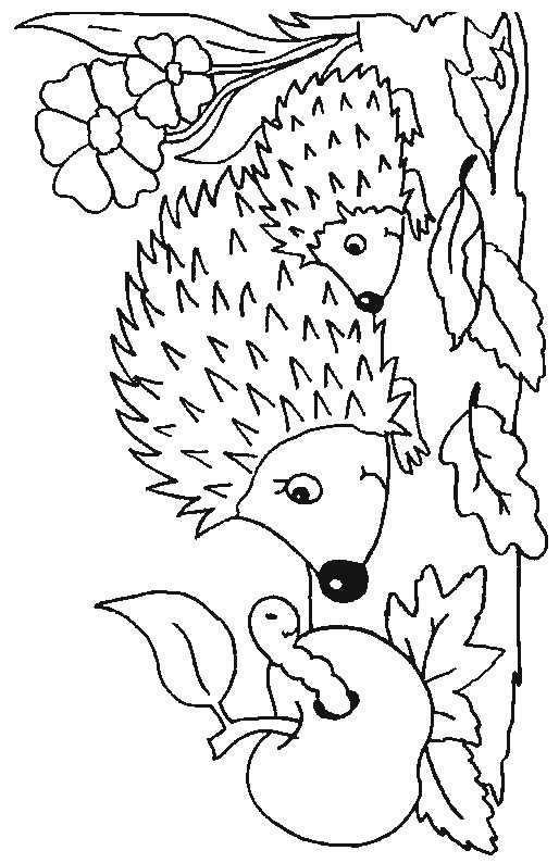 Coloriage Animaux Foret gratuit à imprimer