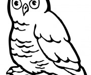 Coloriage et dessins gratuit Hibou de La Forêt vectoriel à imprimer