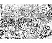 Coloriage La For&ecirc;t r&eacute;aliste