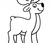 Coloriage et dessins gratuit Le Cerf Animal de la  Forêt à imprimer