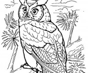 Coloriage Paysage de Hibou dans La For&ecirc;t