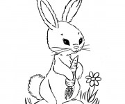 Coloriage et dessins gratuit Un Lapin en noir et blanc à imprimer