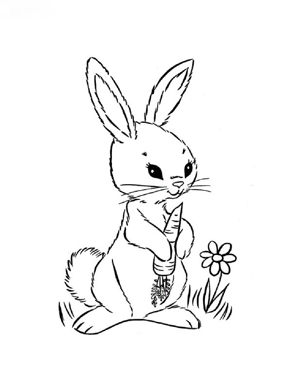 Coloriage Animaux De La Foret