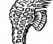 Coloriage Cheval de Mer vecteur dessin gratuit à imprimer