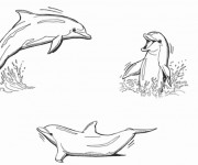 Coloriage Dauphins sur la Mer