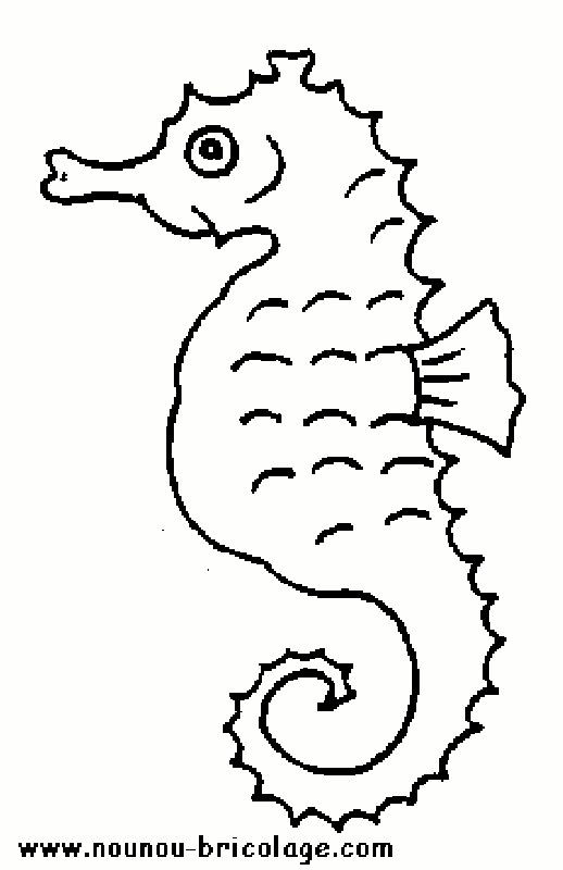 Coloriage Hippocampe En Couleur Dessin Gratuit A Imprimer