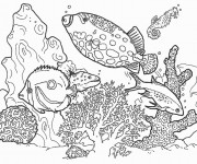 Coloriage et dessins gratuit Poissons de Décoration à imprimer