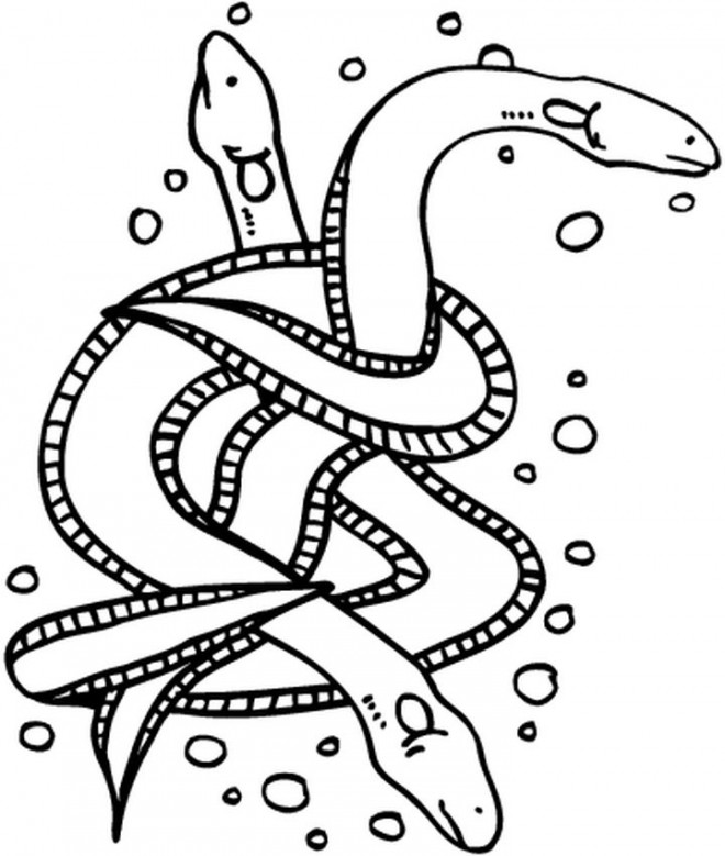 Coloriage et dessins gratuits Serpent de Mer en noir à imprimer