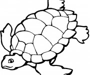 Coloriage et dessins gratuit Tortue de Mer vecteur à imprimer