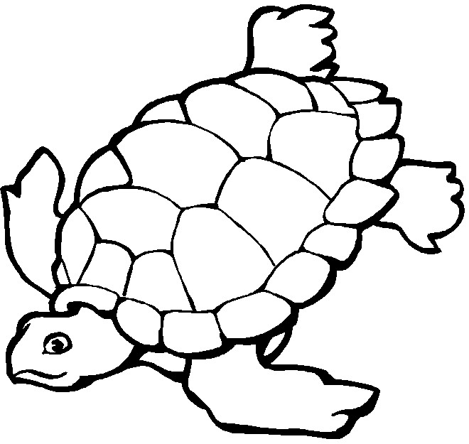 Coloriage Tortue De Mer Vecteur Dessin Gratuit à Imprimer