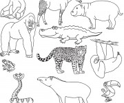 Coloriage et dessins gratuit Animaux de La Savane à imprimer