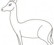 Coloriage Animaux Sauvages gratuit à imprimer